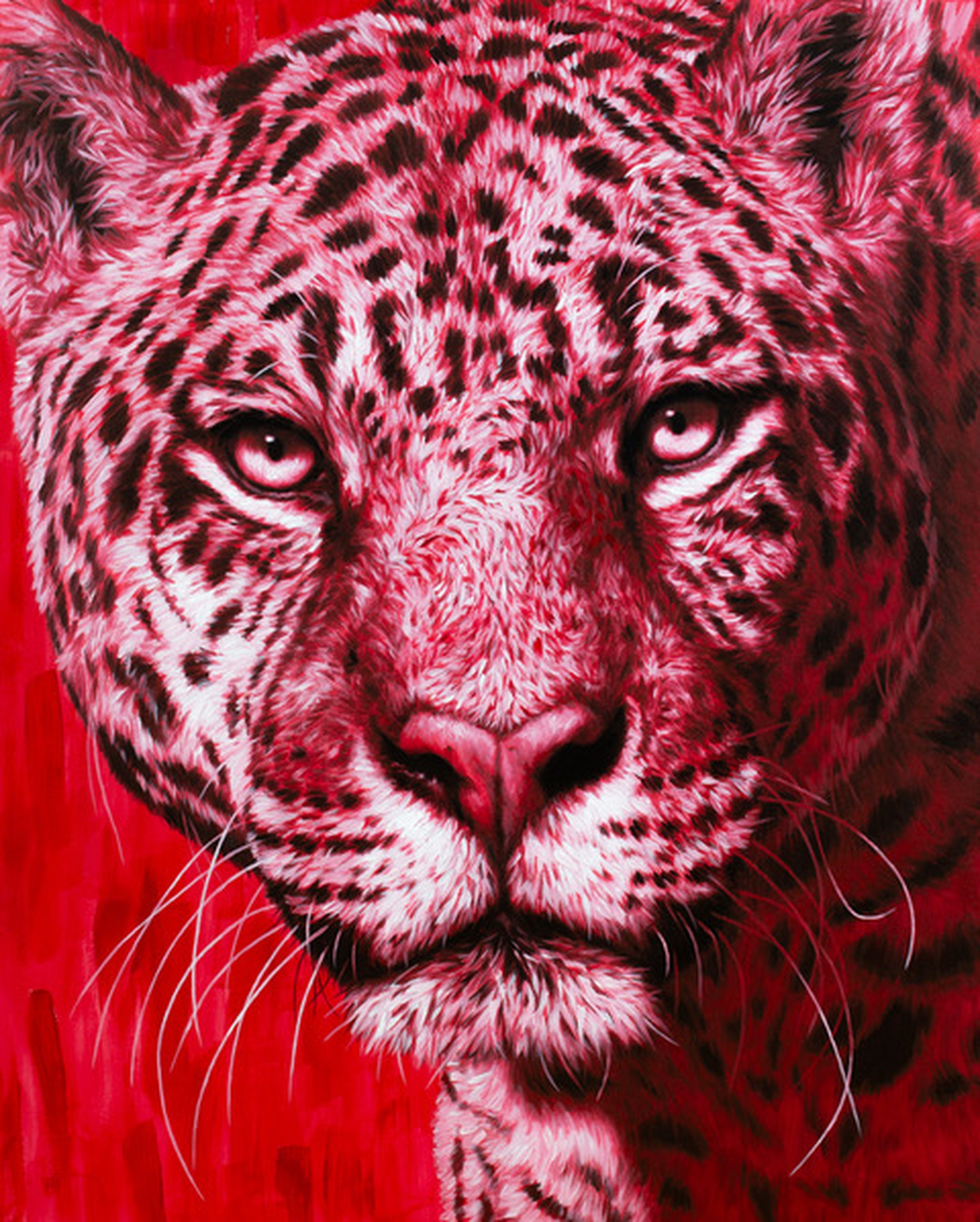 Marco Grasso Power 2023