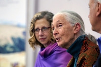 Jane Goodall. Diventare vegetariani è una scelta meravigliosa