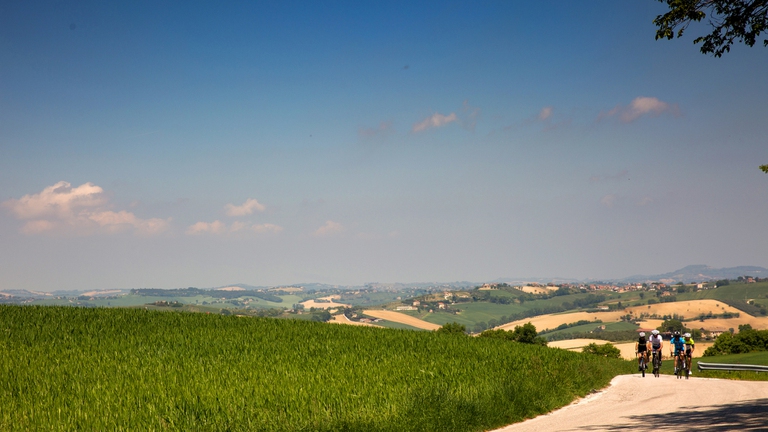 marche, mobilità attiva