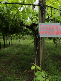 Come i Pfas hanno contaminato l’Italia