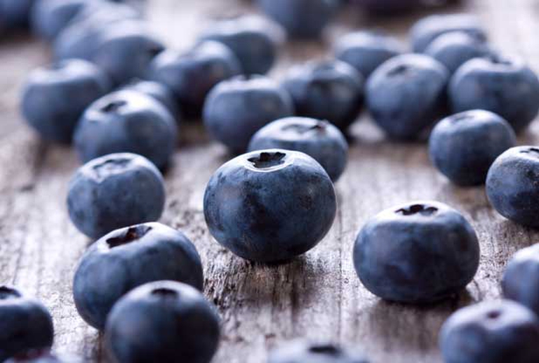 blueberries august