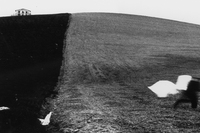 Il bianco e nero di Mario Giacomelli a Roma