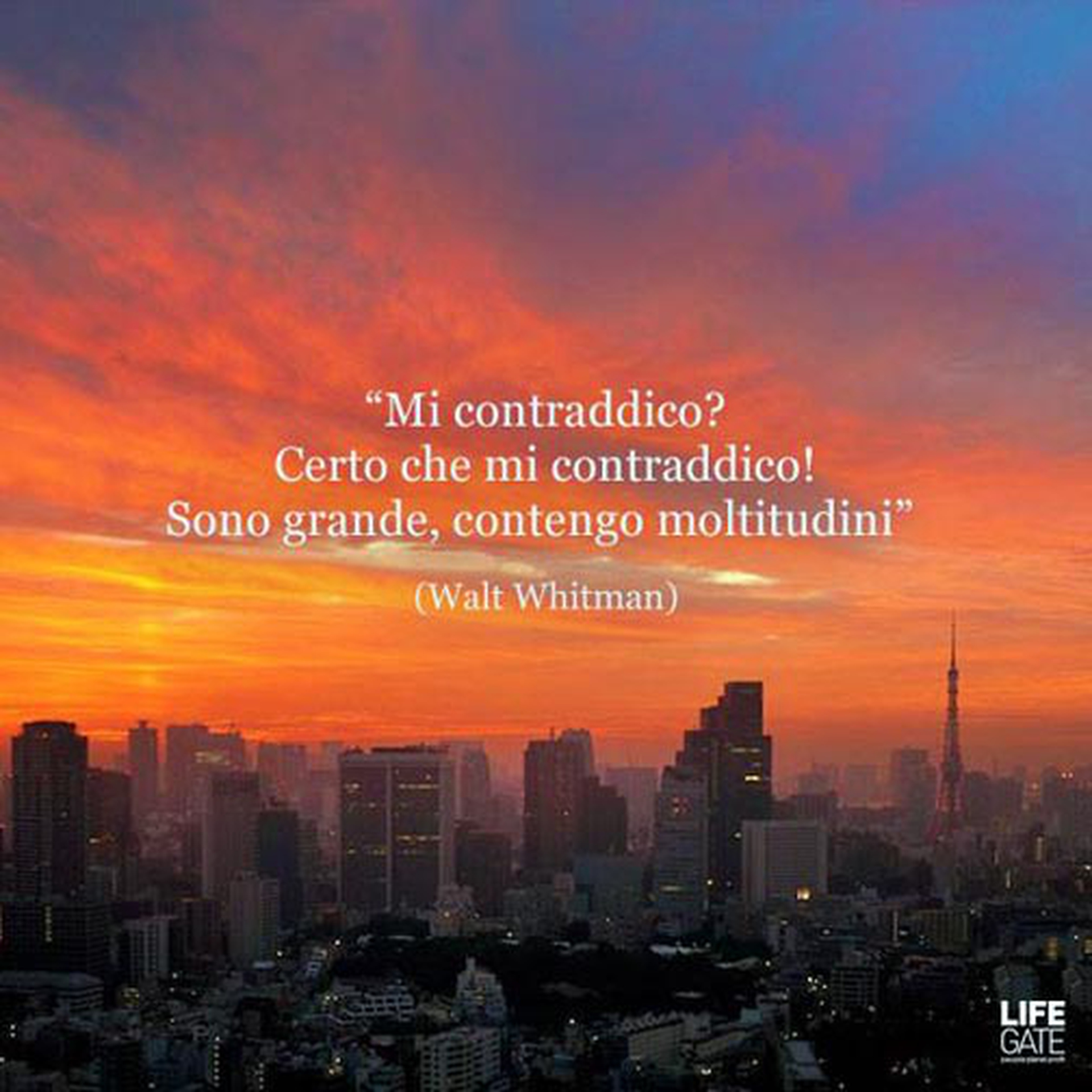 Le citazioni più belle per sempre - Walt Whitman