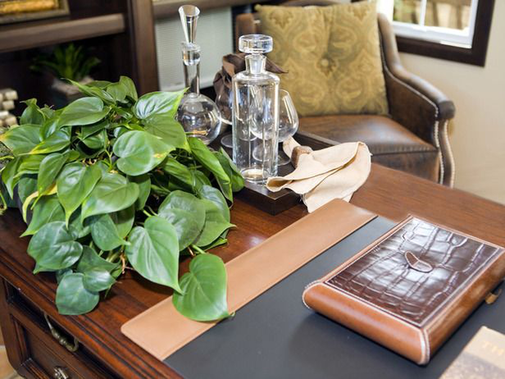 10 piante da ufficio per migliorare l’aria e l’umore