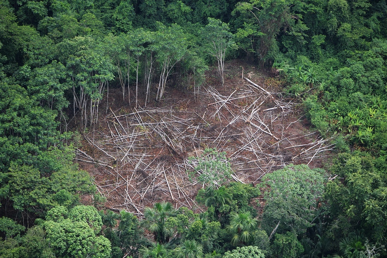 Deforestazione nell'Amazzonia peruviana