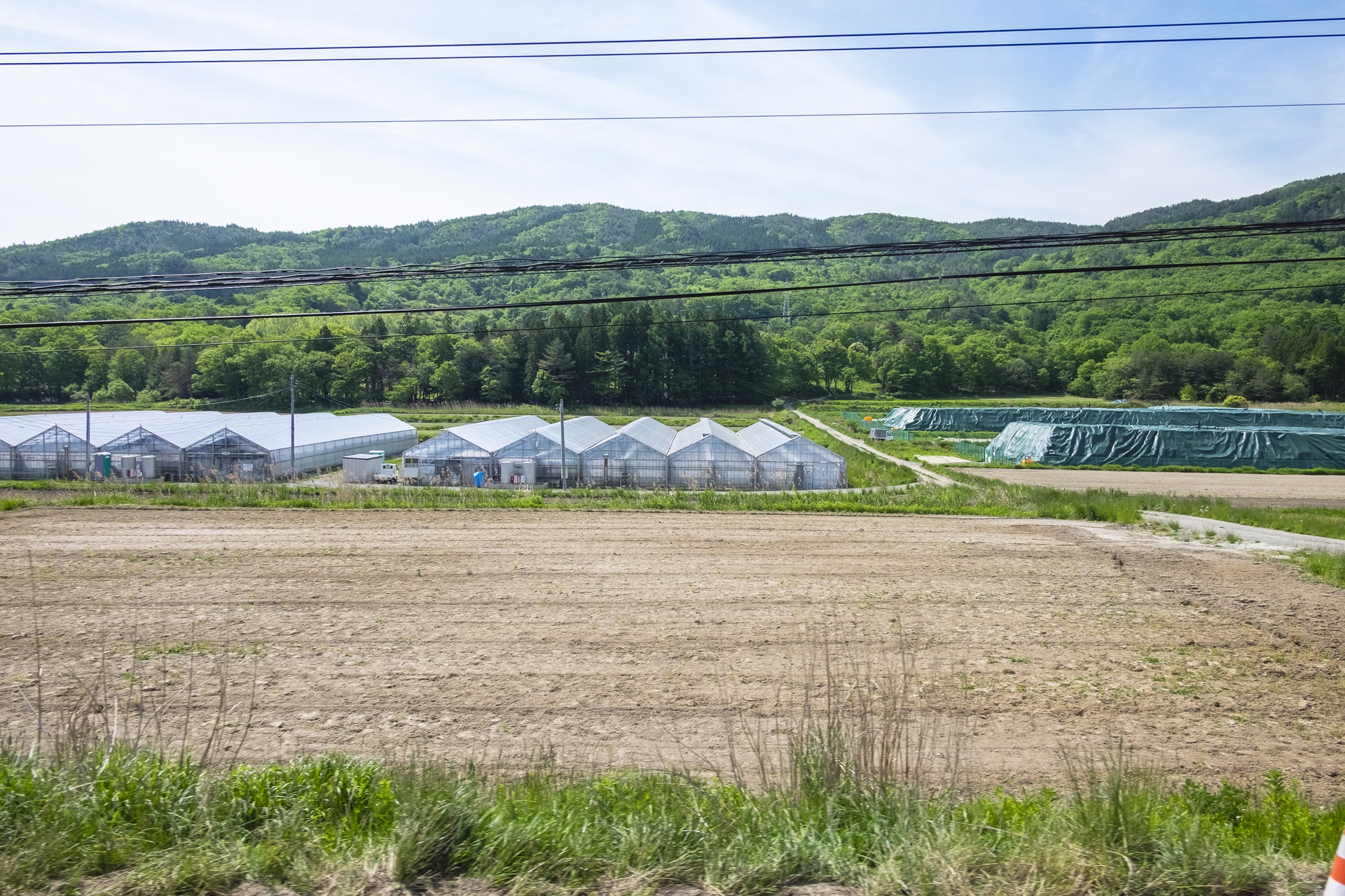 Fukushima a sei anni dal disastro
