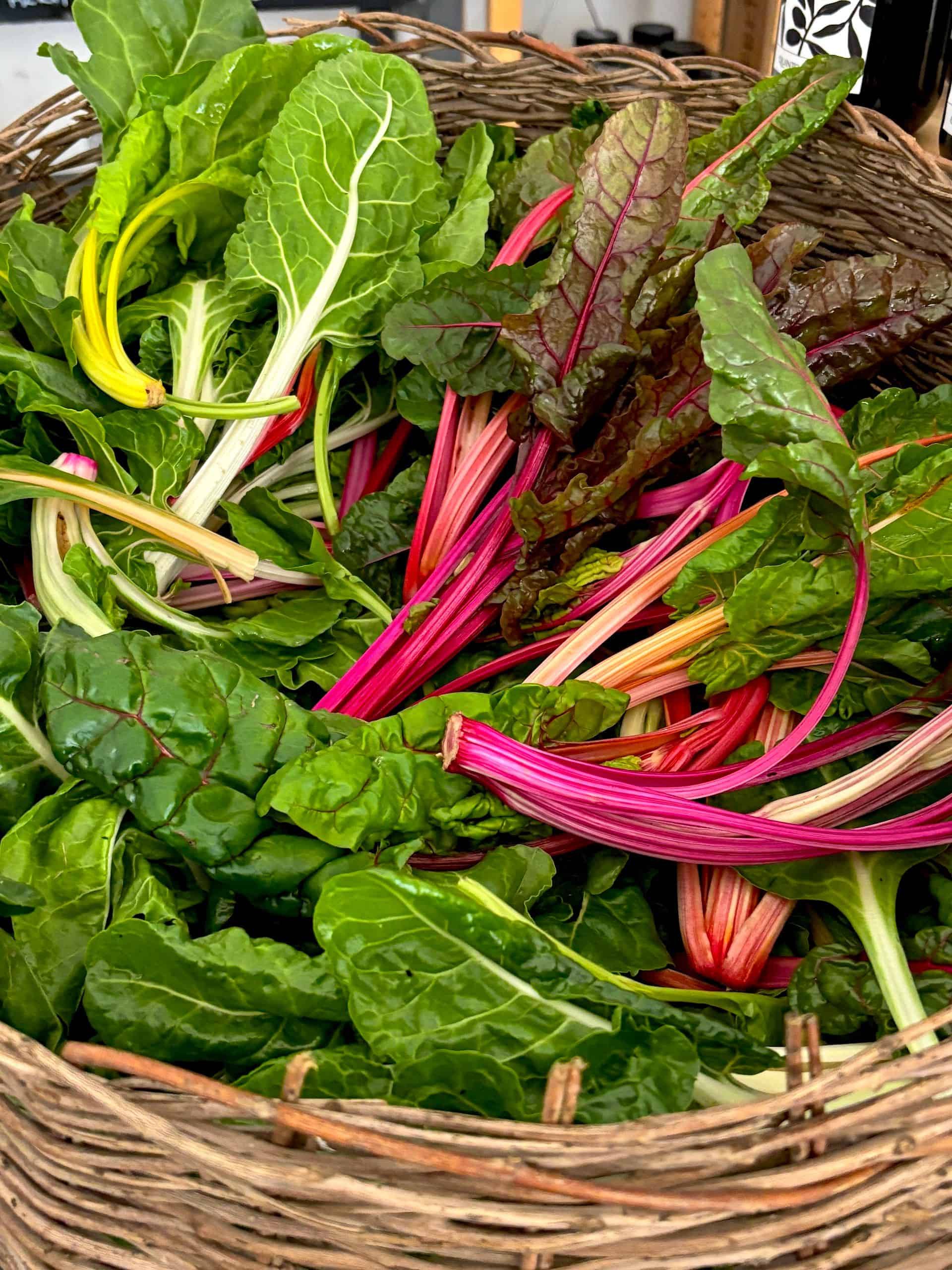 IMG_4408 di Beatrice Spagoni