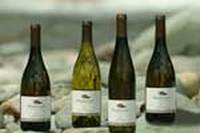 L’impronta ecologica finisce nell’etichetta del vino