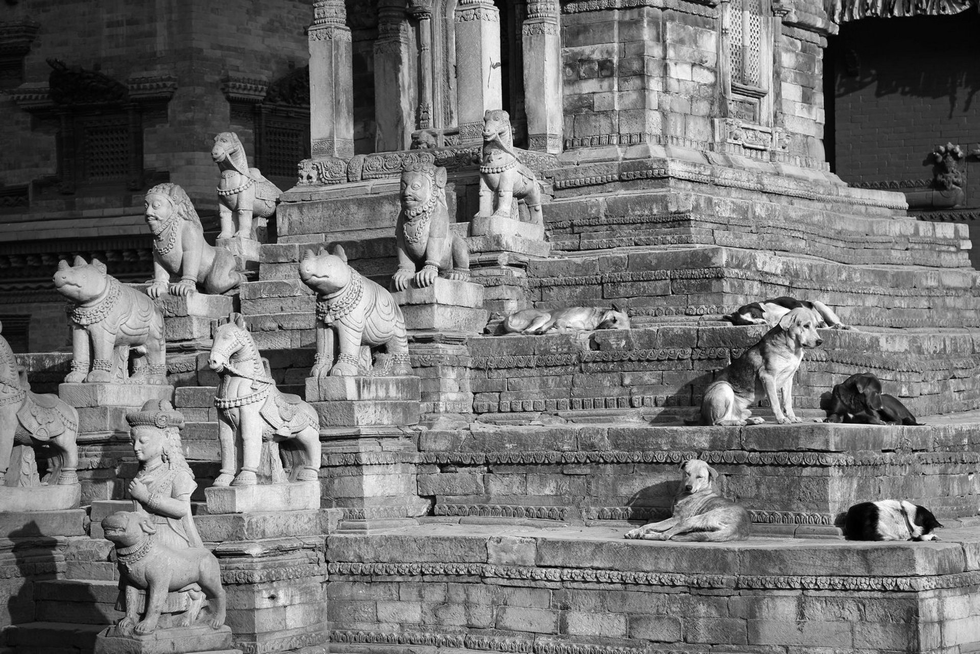 Andrea Micheli, Riccardo Chailly