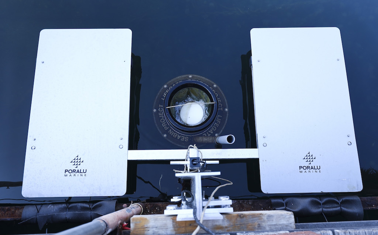 The LifeGate PlasticLess Seabin reaches Athens and Milan, thanks to KLM