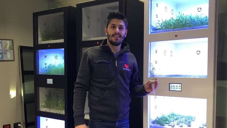 Daniele Rossi founder Tomato+