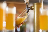 Le batterie delle auto possono nascere dalla birra. E da un fungo