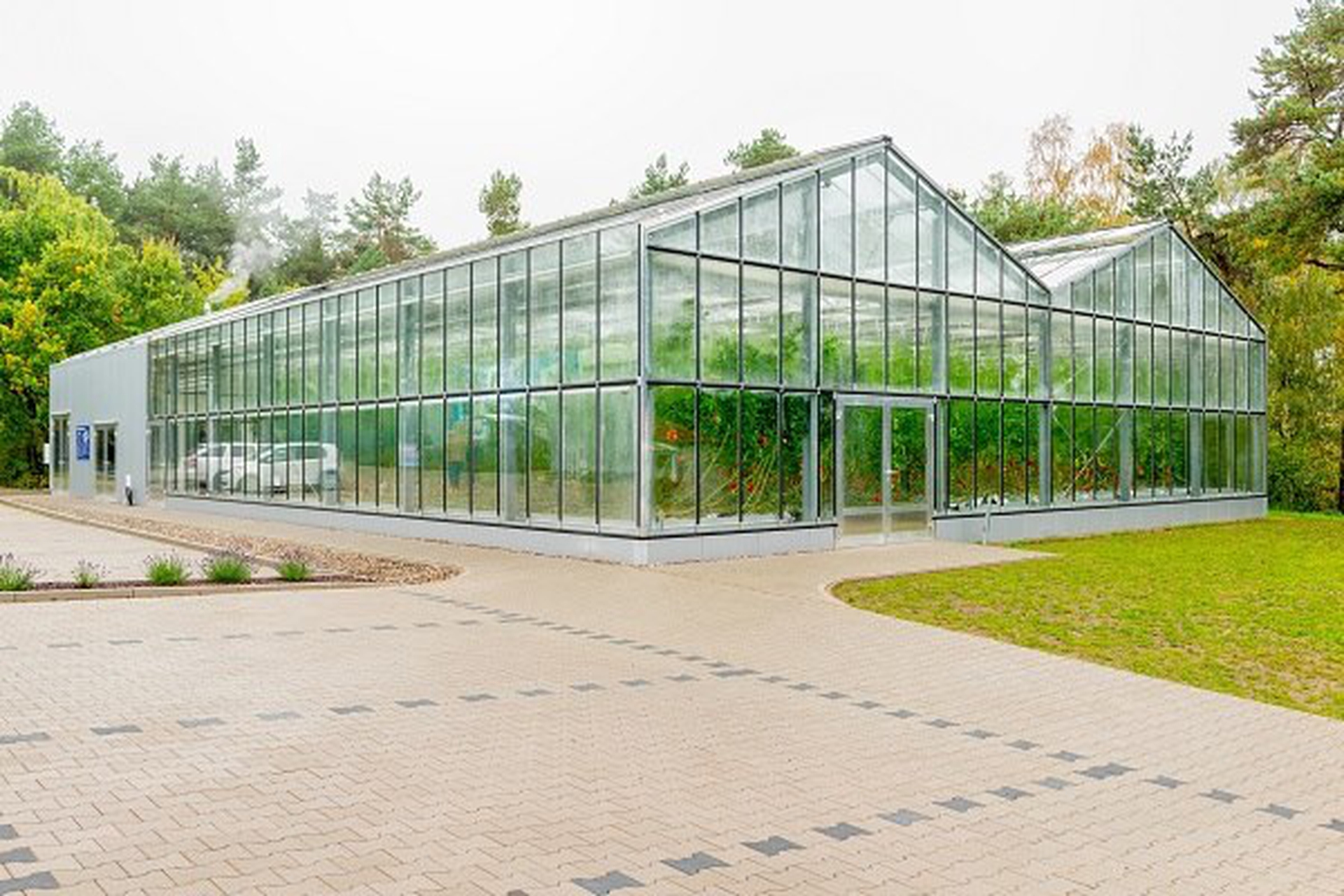 Inapro. Ecco la serra del futuro: non consuma acqua e non usa fertilizzanti