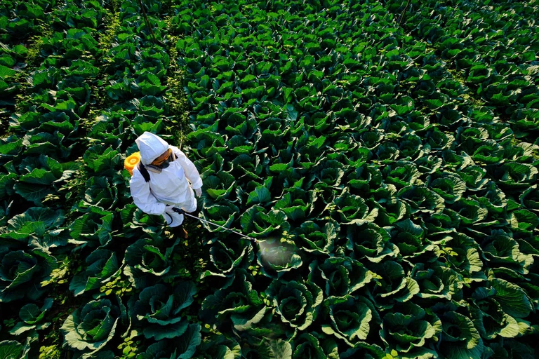 avvelenamento da pesticidi