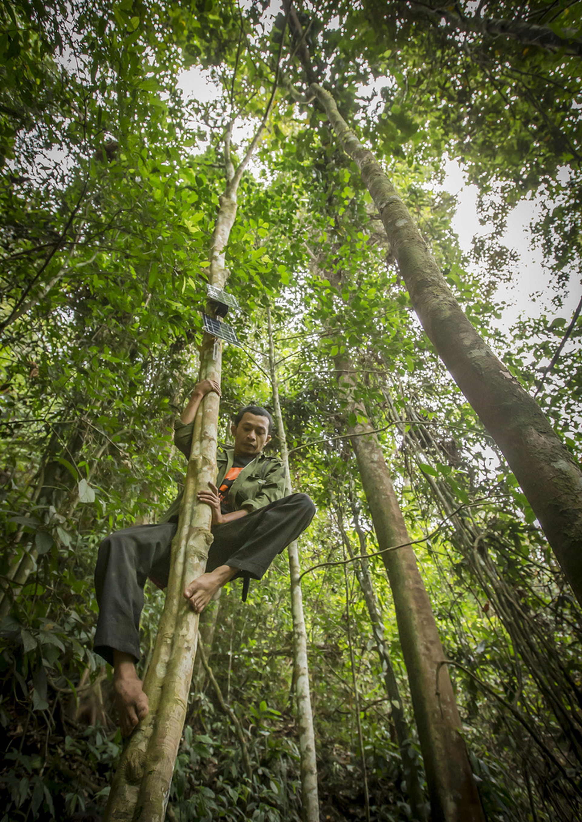 Questo ragazzo salva gli alberi con vecchi cellulari riciclati