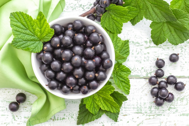 ribes nigrum contro raffreddore da fieno