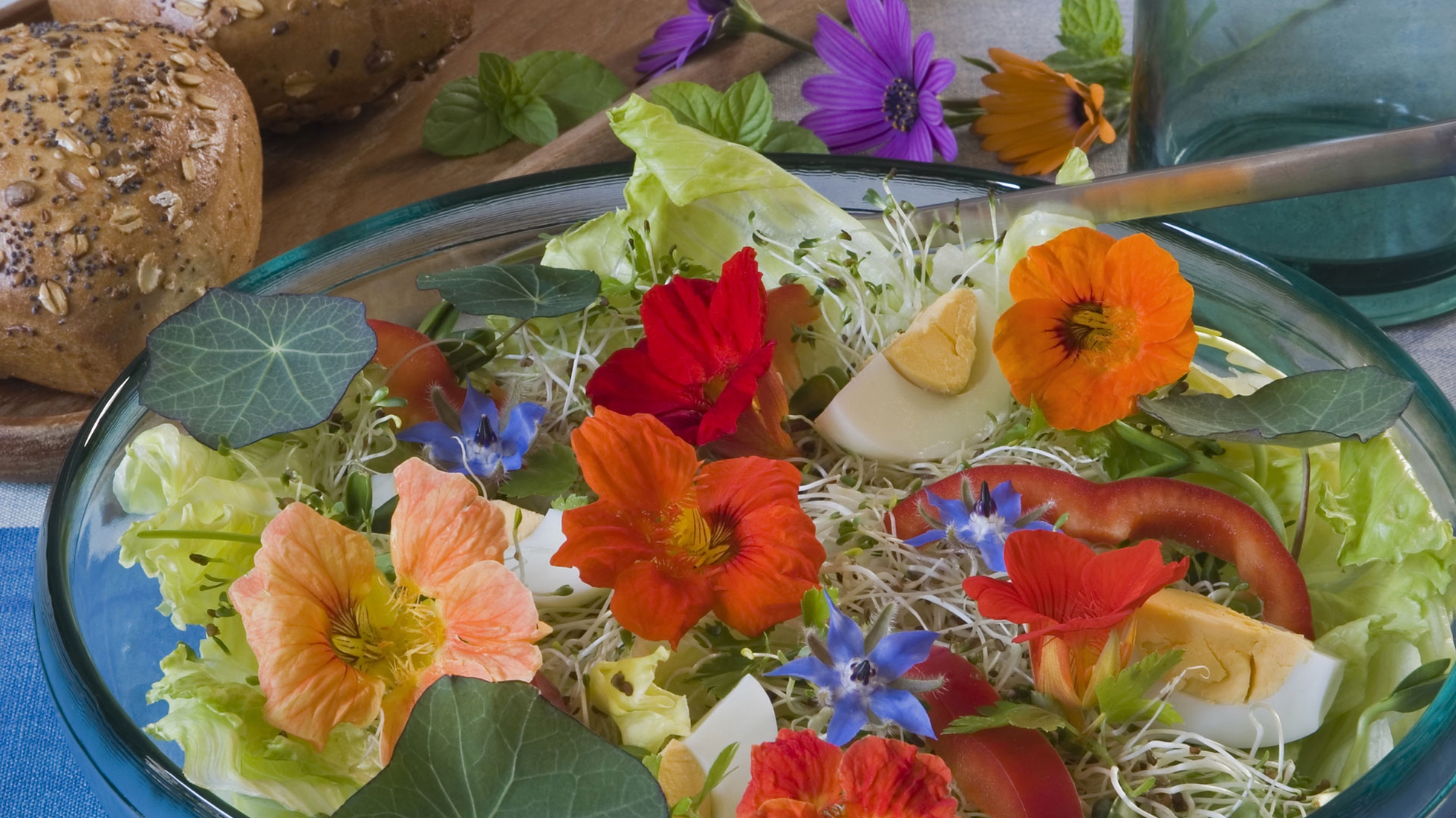 Fiori eduli, l'elenco dei fiori commestibili che puoi usare in cucina -  LifeGate