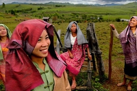 Mulberries, silk weaving supports communities and traditions in Laos