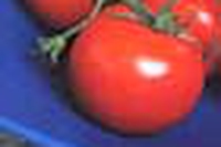 La cucina naturale in pratica