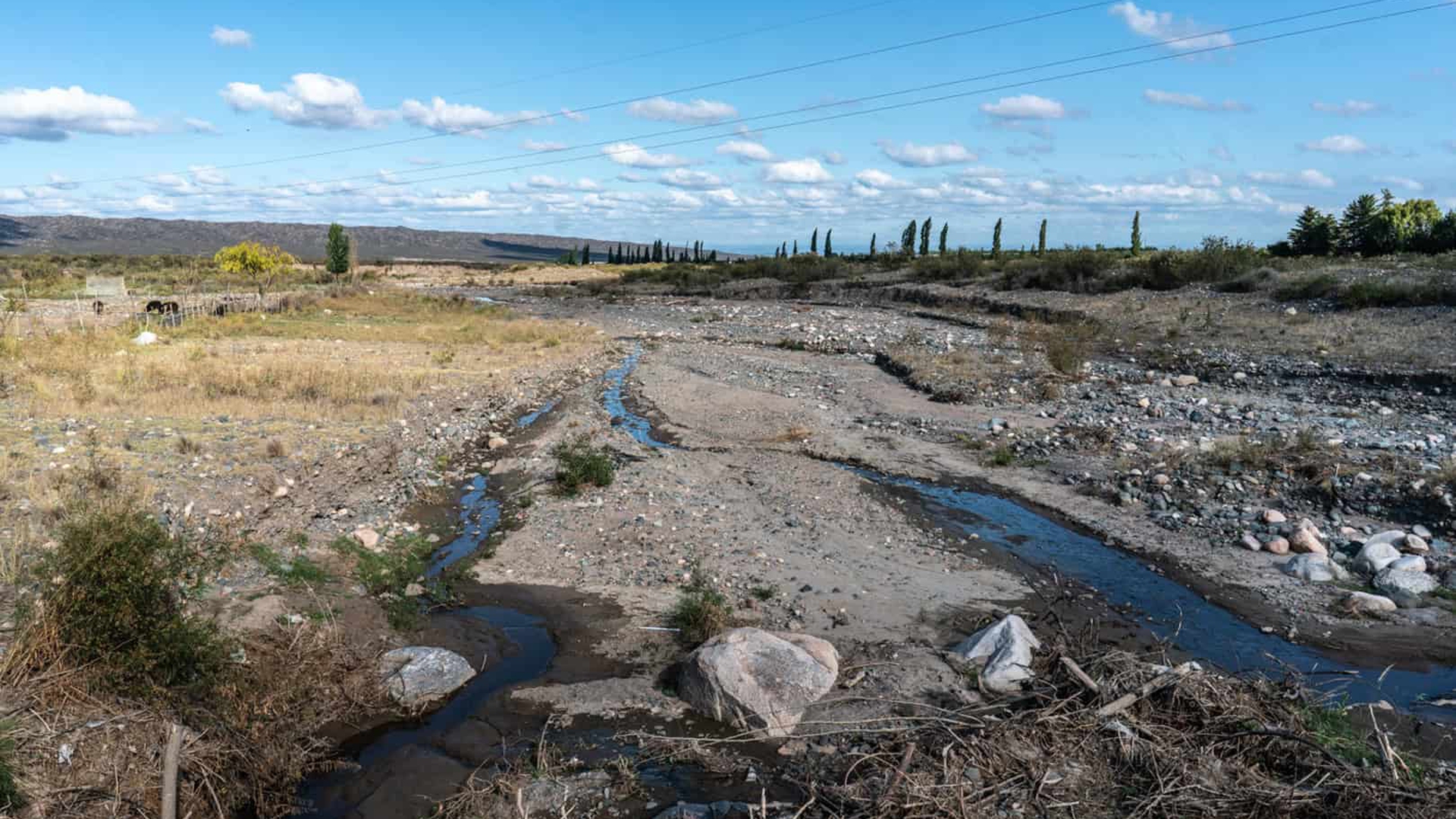 Vino y cambio climatico en Argentina