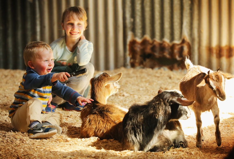 The Royal Melbourne Show 2014