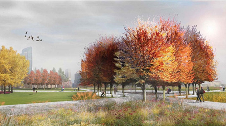 biblioteca degli alberi