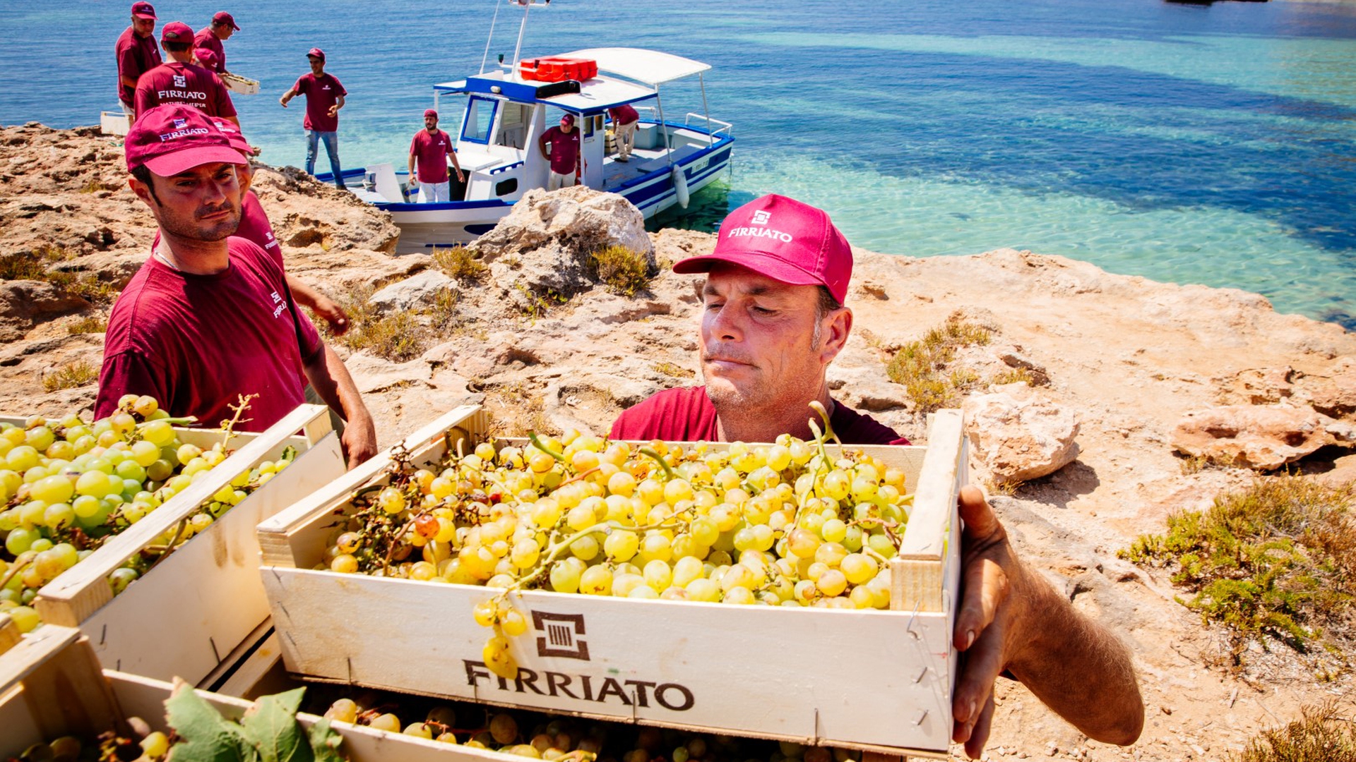 Scarico delle cassette dell uva