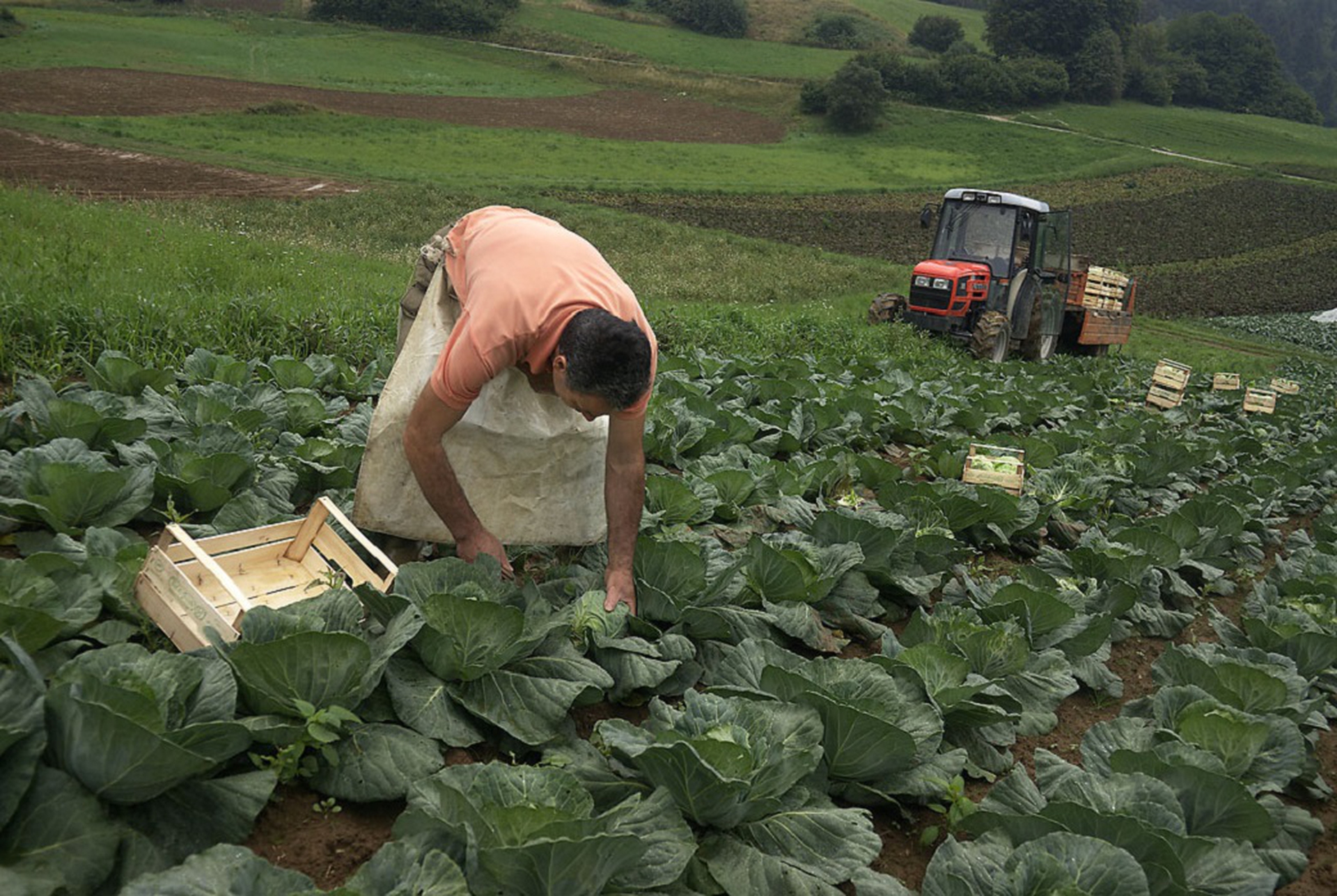 Contadini al lavoro in Val di Gresta