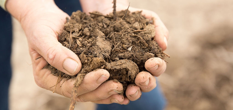 fibershed moda sostenibile rebecca burgess tessuti produzione naturale