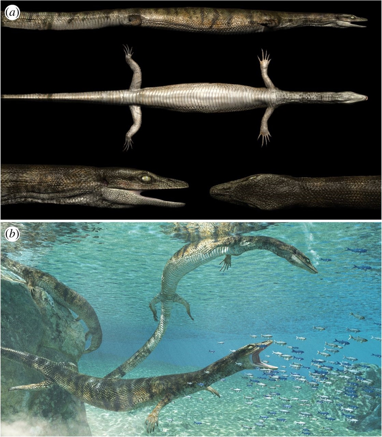 Elaborazione grafica dell'aspetto del Primitivus manduriensis