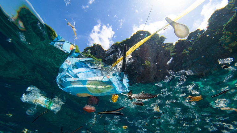 Oceani piani di plastica.