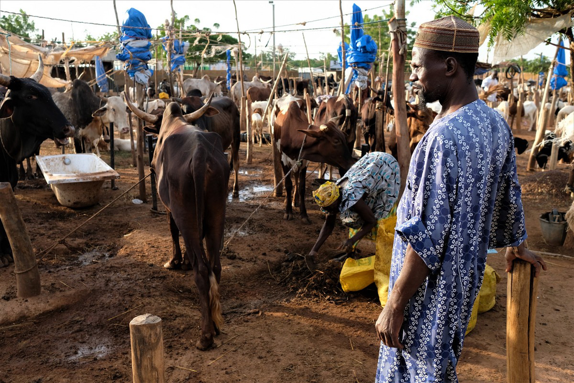 Fighting for the land in Burkina Faso