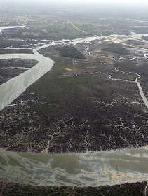 Nigeria, la Shell costretta a rimborsare con 111 milioni di dollari le comunità del delta del Niger