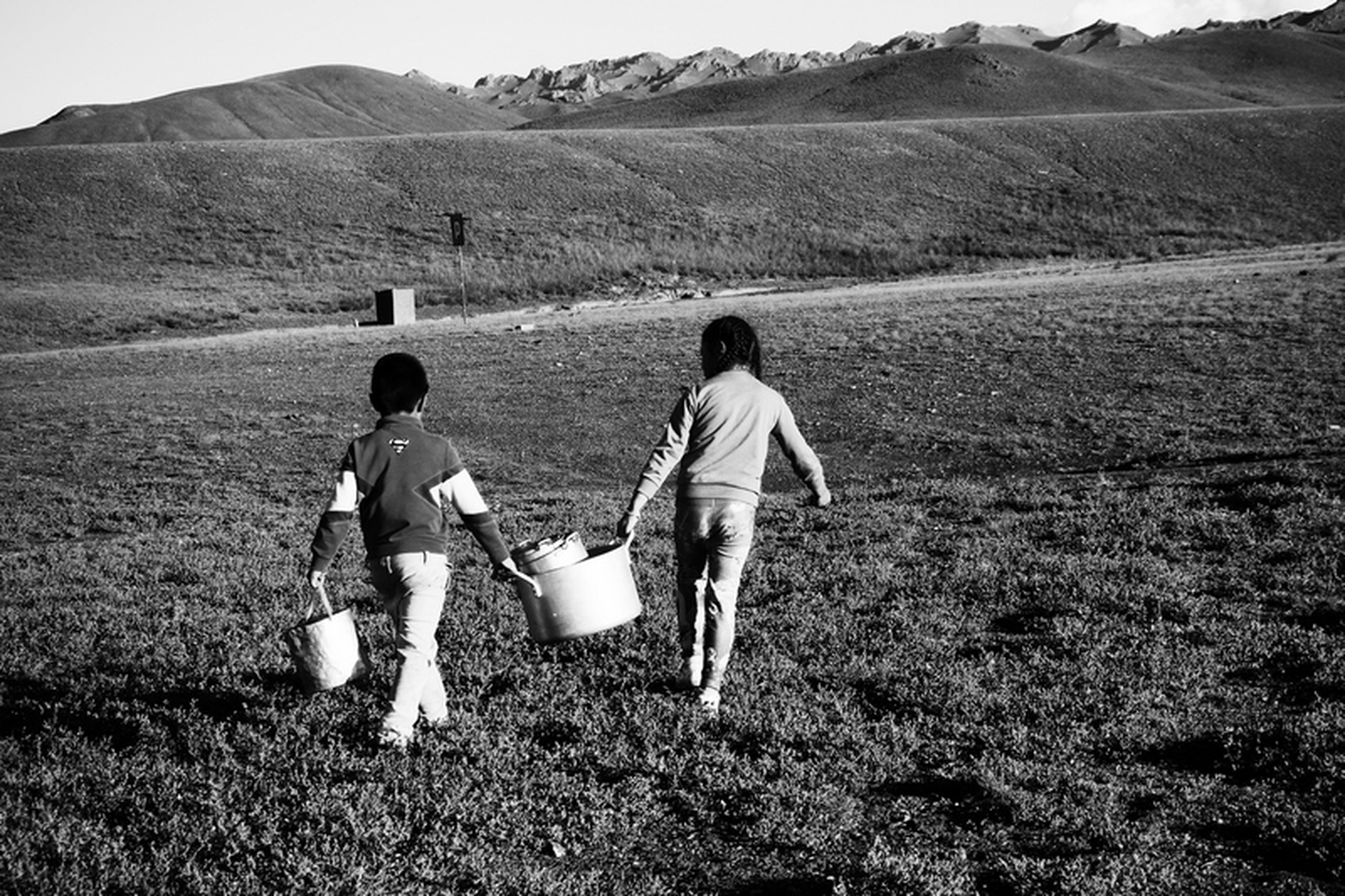 Sara Munari, Vanishing Shepherds