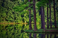 170 million hectares of forests could be wiped out by 2030