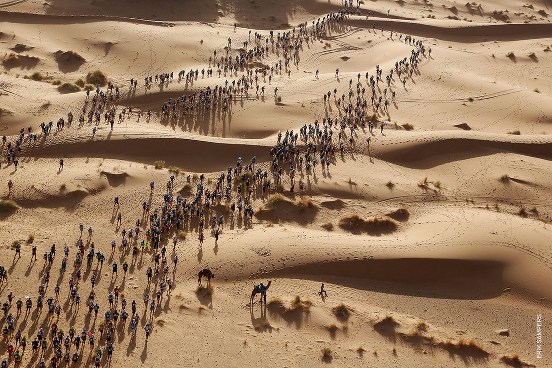 Marathon des Sables, Erik Sampers – World Press Photo 2018