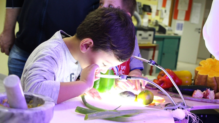 Un momento di osservazione degli alimenti