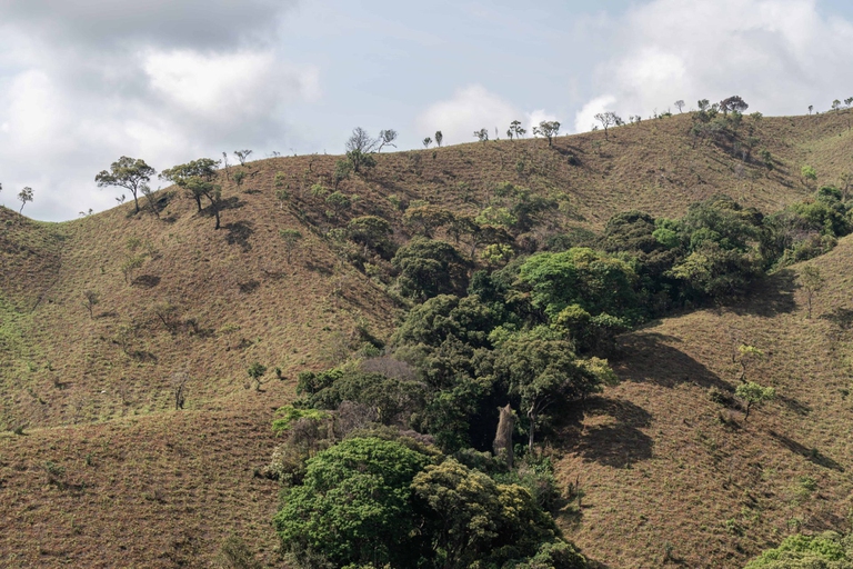 Il progetto di riforestazione Udzungwa corridor limited