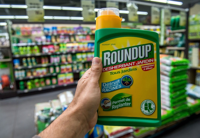 RoundUp is a product made of pesticide glyphosate owned by Monsanto ©PHILIPPE HUGUEN/Getty Images