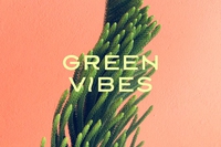 La rivoluzione sostenibile del sesso arriva con Green Vibes