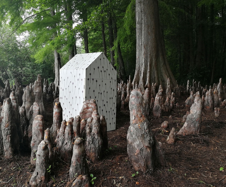 installazione per una volta