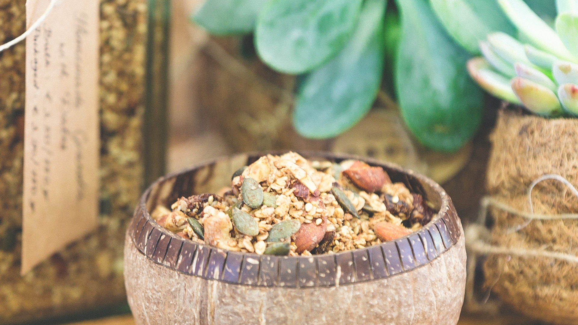 Netherlands Case Study - Little Plant Pantry