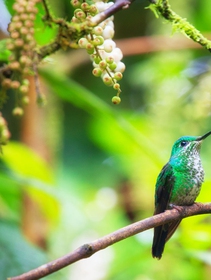 Partiamo dalle storie per riconoscere la biodiversità, partiamo da We are nature expedition
