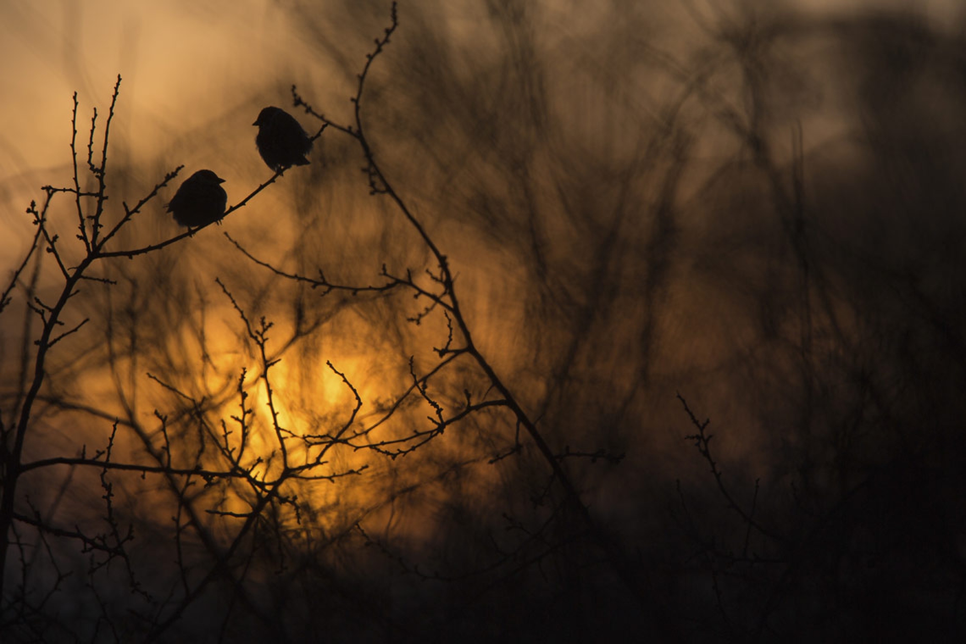 Krzysztof Wojciechowski