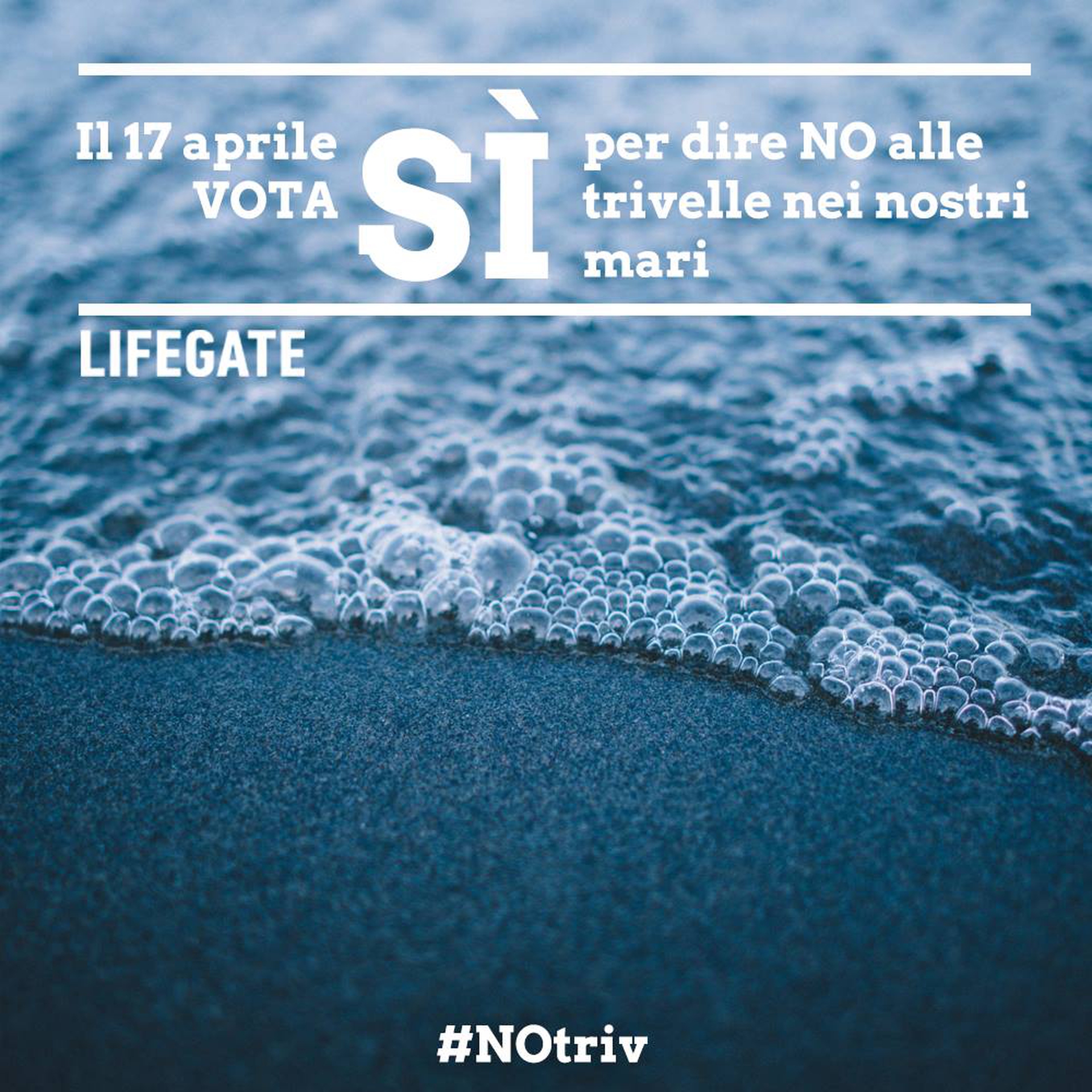 Vota sì per dire #NoTrivelle