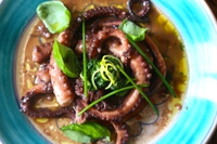 La ricetta del polpo nella sua acqua con crema di basilico al lime