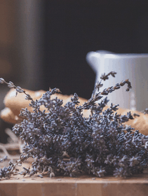 Lavanda, non solo profumo: in cucina c’è anche il gusto!
