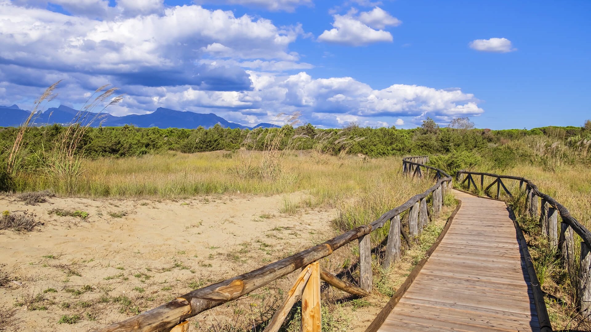 Parco regionale Migliarino, San Rossore, Massaciuccoli