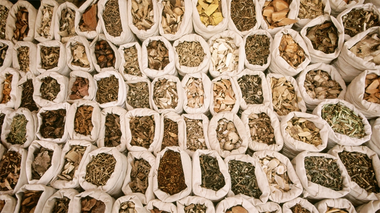 fitoterapia-metereopatia