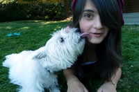 Vivere con un cane fa bene, anche al nostro sistema immunitario